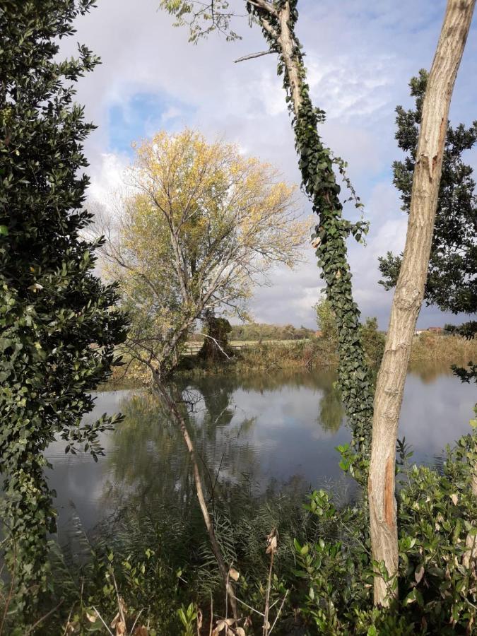 Tenuta Crescentini-Vallemura ,Appartamenti Con Entrata Indipendente ซานโดนาดิเพียเว ภายนอก รูปภาพ