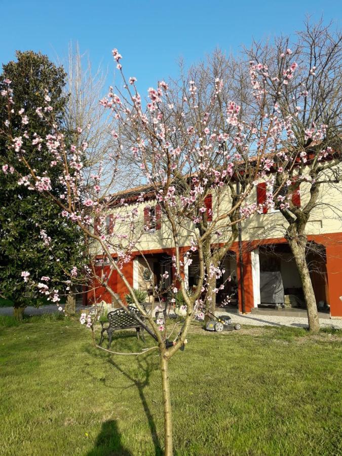 Tenuta Crescentini-Vallemura ,Appartamenti Con Entrata Indipendente ซานโดนาดิเพียเว ภายนอก รูปภาพ