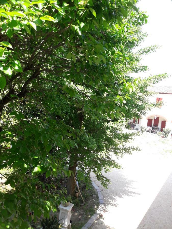Tenuta Crescentini-Vallemura ,Appartamenti Con Entrata Indipendente ซานโดนาดิเพียเว ภายนอก รูปภาพ