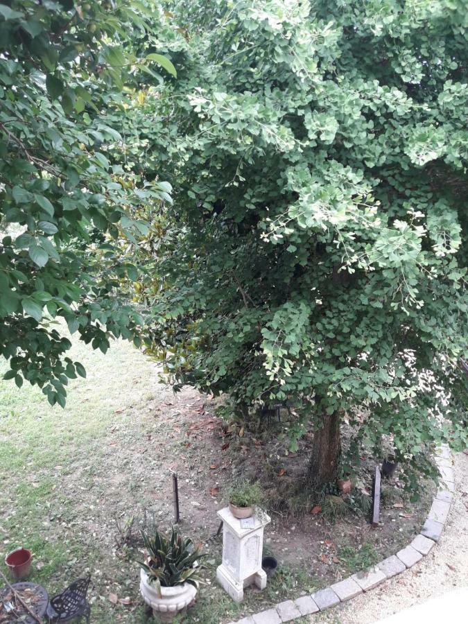Tenuta Crescentini-Vallemura ,Appartamenti Con Entrata Indipendente ซานโดนาดิเพียเว ภายนอก รูปภาพ