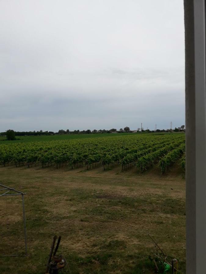 Tenuta Crescentini-Vallemura ,Appartamenti Con Entrata Indipendente ซานโดนาดิเพียเว ภายนอก รูปภาพ