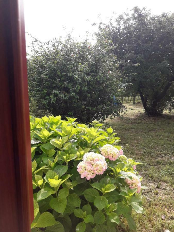 Tenuta Crescentini-Vallemura ,Appartamenti Con Entrata Indipendente ซานโดนาดิเพียเว ภายนอก รูปภาพ