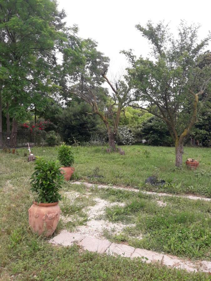 Tenuta Crescentini-Vallemura ,Appartamenti Con Entrata Indipendente ซานโดนาดิเพียเว ภายนอก รูปภาพ