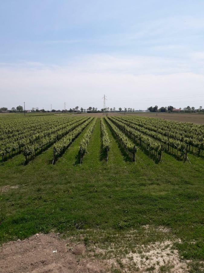 Tenuta Crescentini-Vallemura ,Appartamenti Con Entrata Indipendente ซานโดนาดิเพียเว ภายนอก รูปภาพ