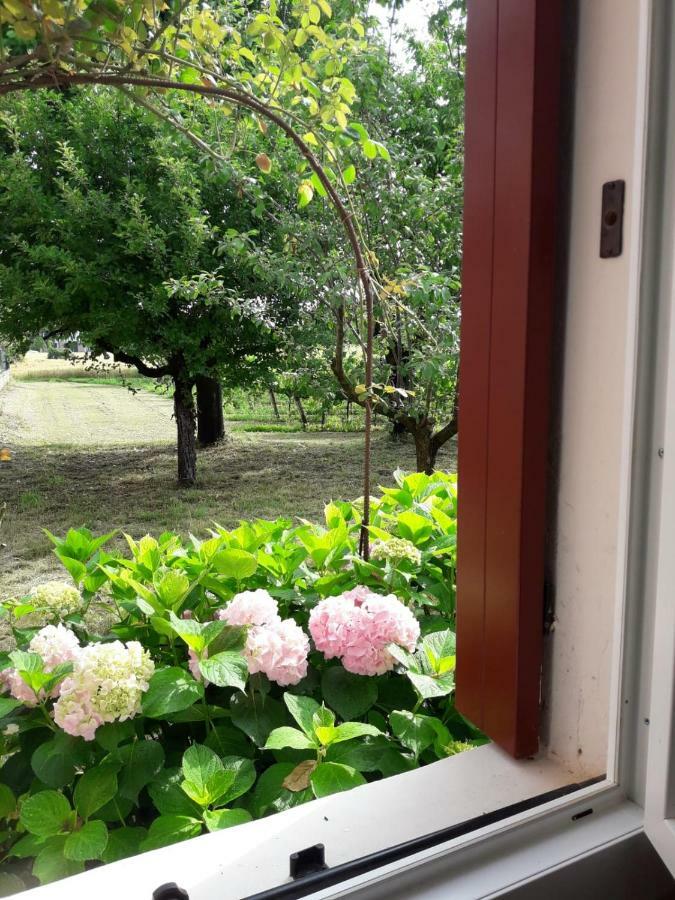 Tenuta Crescentini-Vallemura ,Appartamenti Con Entrata Indipendente ซานโดนาดิเพียเว ภายนอก รูปภาพ