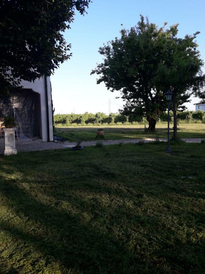 Tenuta Crescentini-Vallemura ,Appartamenti Con Entrata Indipendente ซานโดนาดิเพียเว ภายนอก รูปภาพ