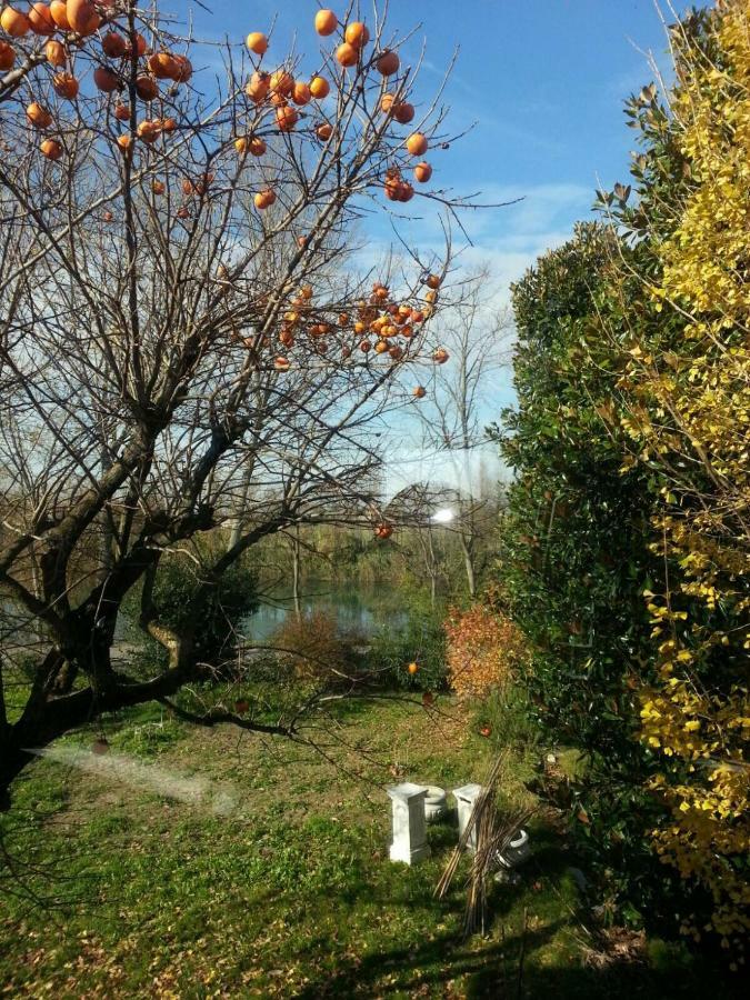 Tenuta Crescentini-Vallemura ,Appartamenti Con Entrata Indipendente ซานโดนาดิเพียเว ภายนอก รูปภาพ