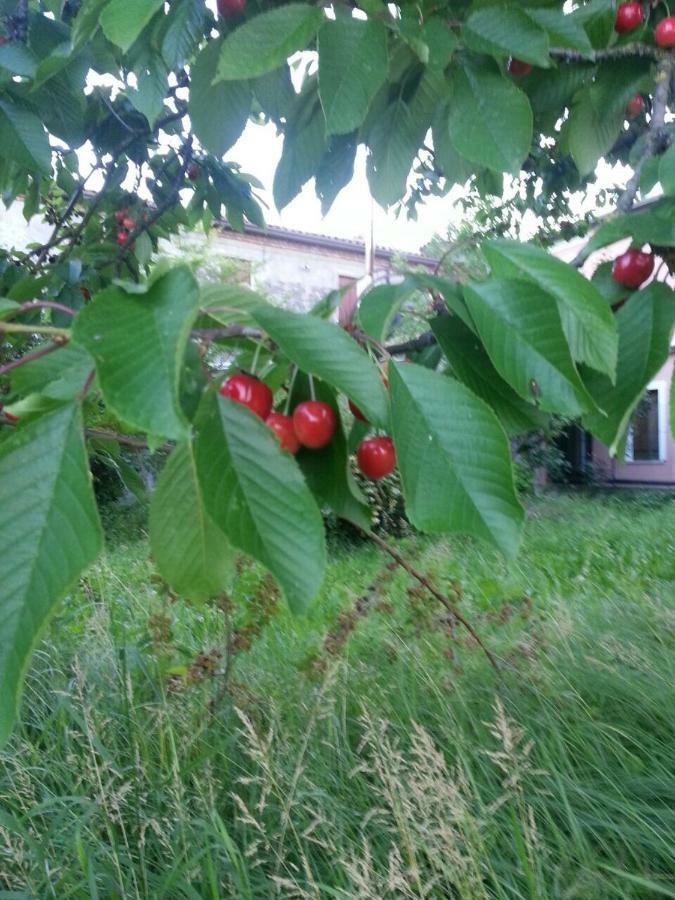 Tenuta Crescentini-Vallemura ,Appartamenti Con Entrata Indipendente ซานโดนาดิเพียเว ภายนอก รูปภาพ